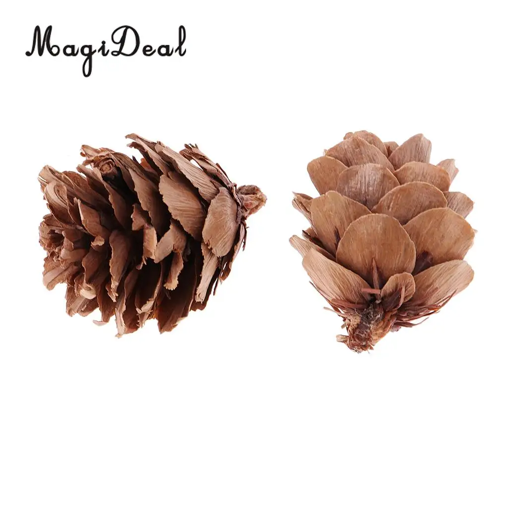  30 Pieces Mini Small Natural Dried Pine Cones In Bulk Dried Flowers for Christmas Decoration or Crafting
