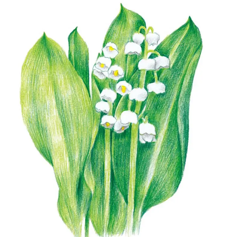 fb0333f2535af775aaea18ef72e77e419c2aa83ab4799-IuHUSn_fw658