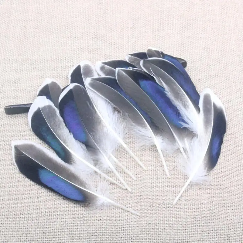 50pcs 10 15cm / 4 6 inch NATURAL IRIDESCENT color duck feather
