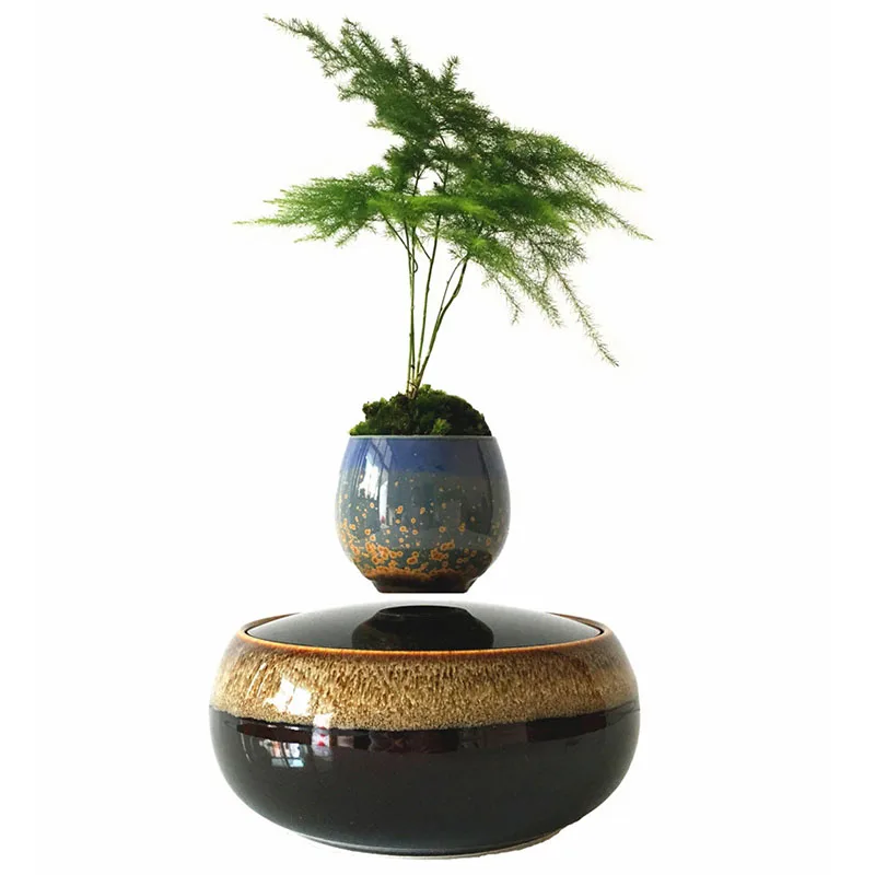 2018 japan high tech levitating air bonsai tree floating Layer