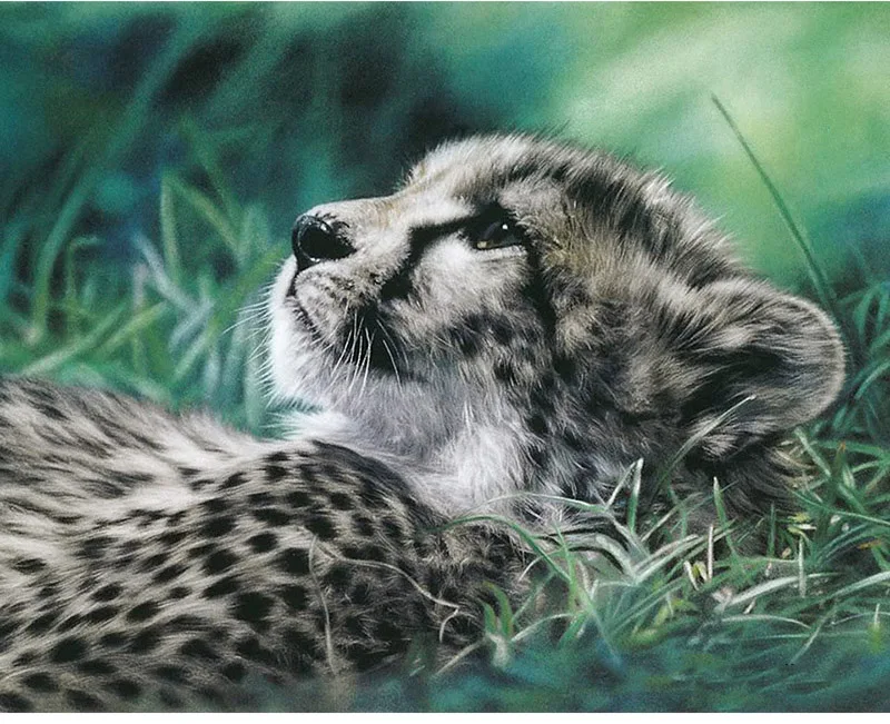 HTB11aL2QVXXXXXIapXXq6xXFXXXk