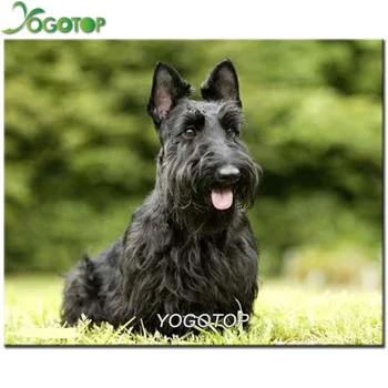 

Full drill Square Round 5D DIY Diamond Painting Scottish Terrier Dog Pet Patterns Embroidery Cross Stitch Mosaic Decor YY1331