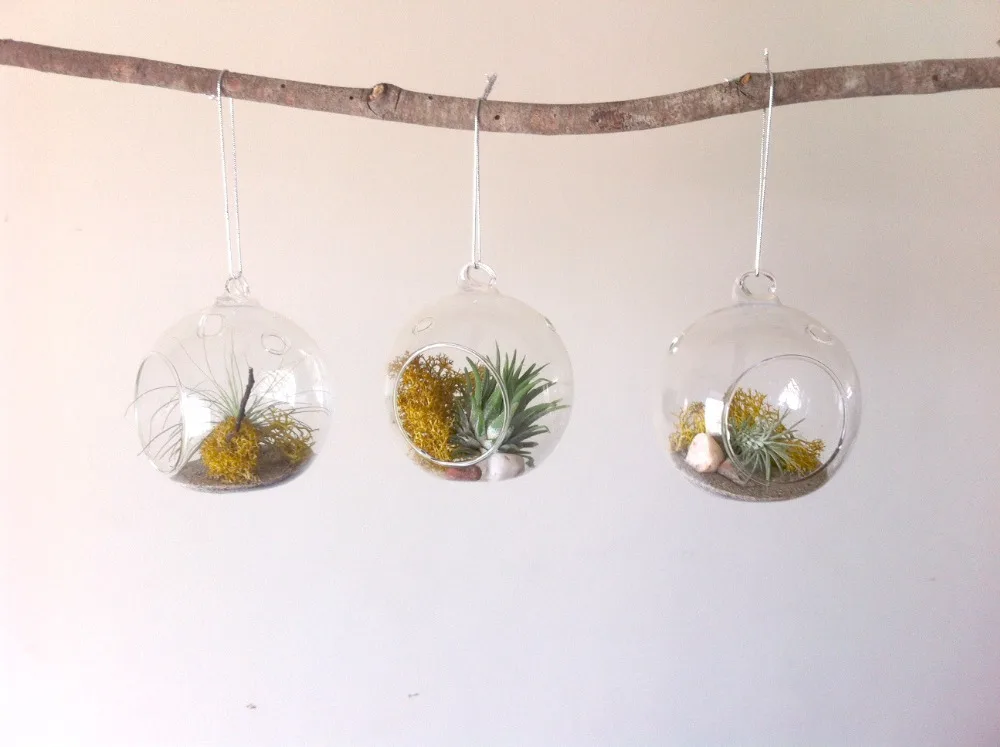 3PCS/set 12cm/15cm glass hanging air plant holders,indoor garden