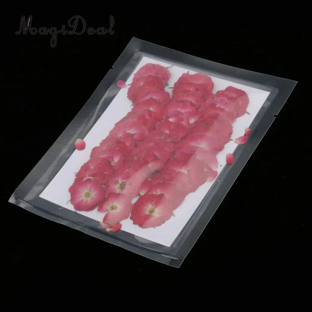 MagiDeal 50pcs Beautiful Pressed Rose Flower Dried Flowers for Art Craft Scrapbooking Card Making House Decoration
