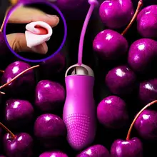 Sex shop vagina vibrator Erotic 10 Speed Waterproof Silicone pussy Double Love Egg Wireless Remote Control Charging