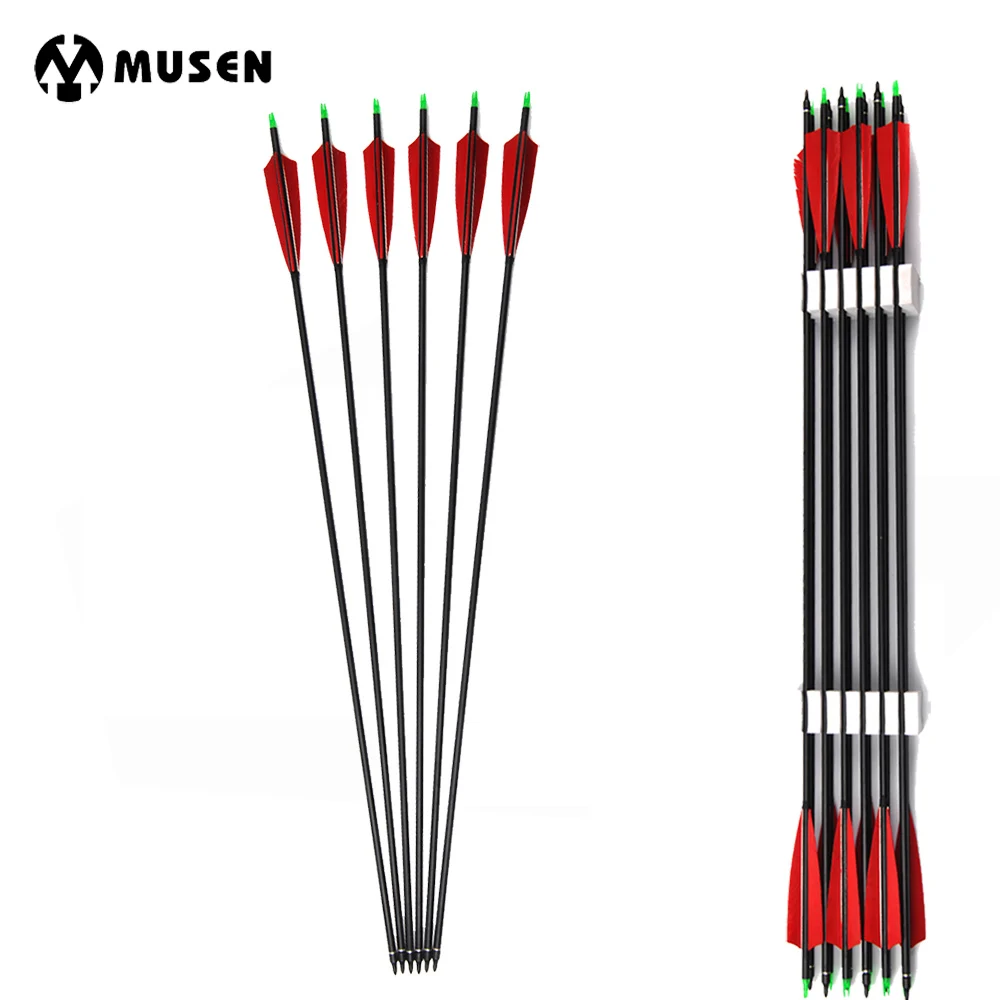 

Spine 500 Carbon Arrows 85cm with Turkey Feather and Replaceable Tips for Recurve Compound Bow Hunting Shooting Archery