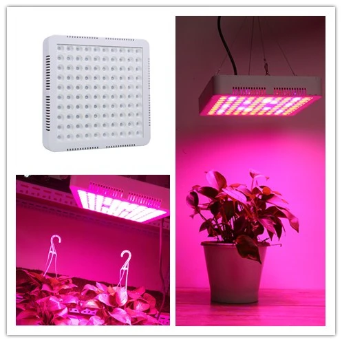 

High Power 300W LED Grow Light Full Spectrum Hydroponic Sansun Plant Grow Light Veg Bloom Plant Indoor EU/US Plug