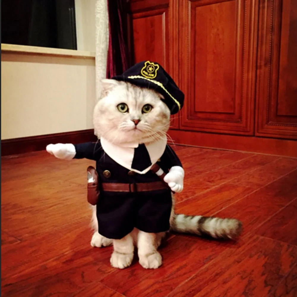 Новинка; забавная одежда для кошек; костюм пирата; Одежда для кошек; костюм корсаира; Одежда для Хэллоуина; нарядный костюм кошки