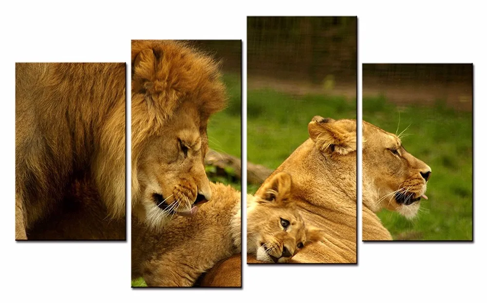 

Framed 4 Panels/Set Series of animal lions HD Canvas Print Painting Artwork Gift Wall Art Picture.decorative painting/XJ-12Y-104