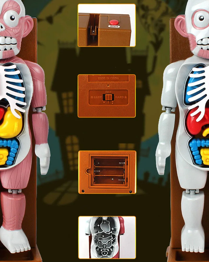 Funny Simulation Human Organs 3D Puzzles Assembled Scary Human Body Model Halloween Tricky Joke Toy Novelty & Gag Toys 4
