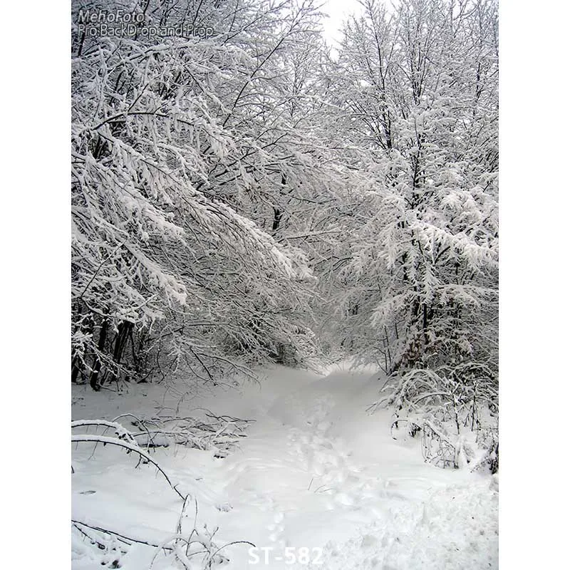 

Christmas Background Thin Vinyl Photography Backdrops Computed Printed Forest Snow-covered landscape Photo Background ST-582