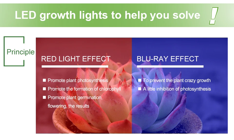 led grow light cob chip (3)