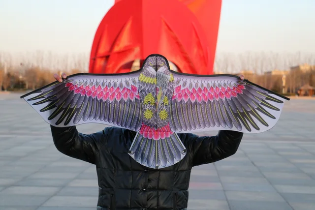 1 Unids Color Al Azar DIY Águila Cometa Kite Pintura Volar sin mango Línea Papalote  Volar una Cometa Cometa De Juguete Juguetes Al Aire Libre - AliExpress