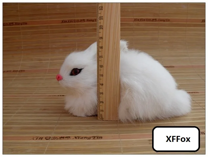 HTB1kgoXLFXXXXb7XpXXq6xXFXXXY