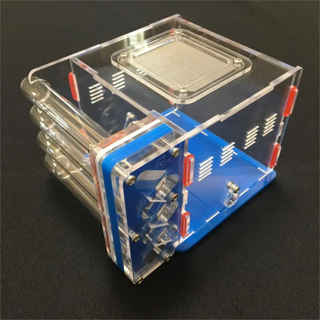 4 tube design big DIY  with feeding area ant nest ,ant farm acryl, insect ant nests villa pet mania for house ants