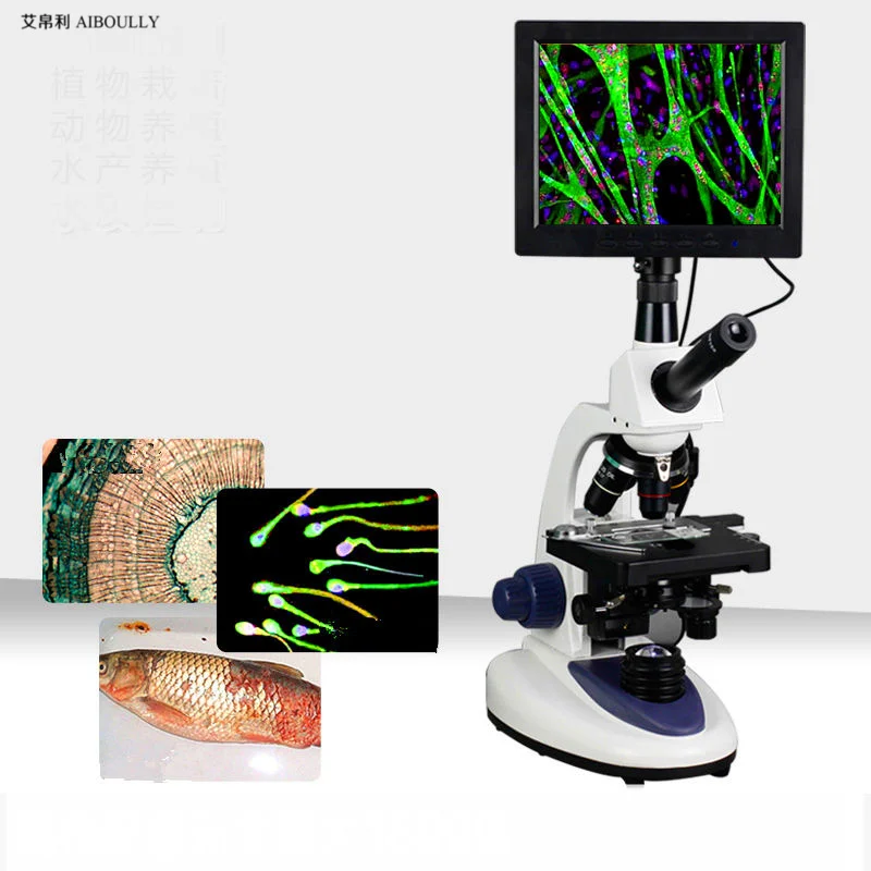 

Animals and Plants Cell Blood Instruments Zoom in 1000 times the biomicroscope with 7 inch screen integrated design diagnosis