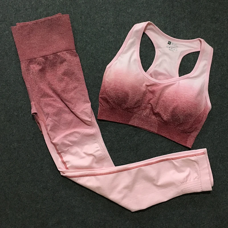 

2 Piece ombre gym set yoga sets VIP