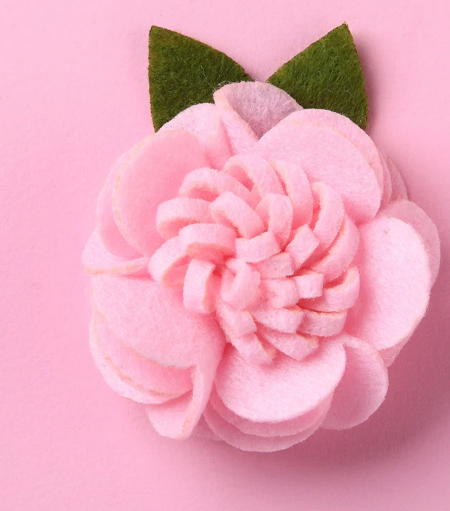 10893674000_1463196279