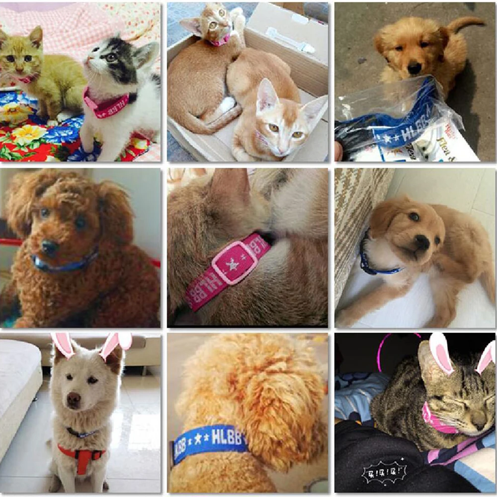 Pet-Cats-Adjustable-Anti-Flea-Tick-Nylon-Neck-Collar-Health-Doggy-Mosquitoes-Elimination-4-Months-Repel