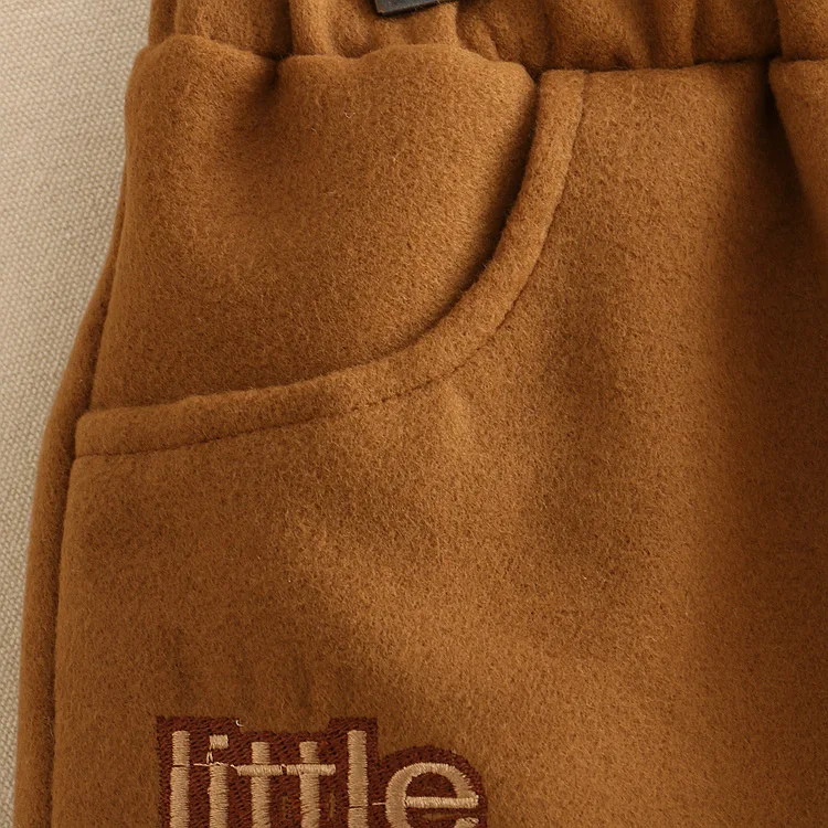 Осенне-зимние женские бархатные шерстяные шорты с вышитыми японскими буквами, женская одежда с эластичной резинкой на талии, мини шорты для женщин T626