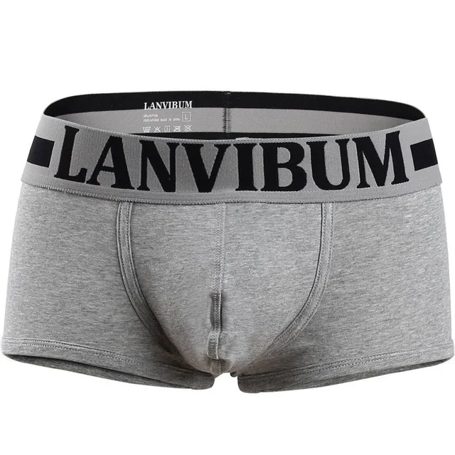 Gray Comfortable Boxershorts Men Underwear Boxer Men Cotton Modal Underwear Antibacterial Boxers Boxer Sexy Hombre - Цвет: Gray