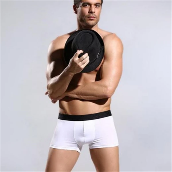 Buy Men's Cotton/Spandex Boxer Briefs 12301 from