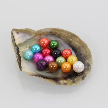 

20pcs/lot 7-8MM Cultivated Round Dyed Pearls AAA Loose Pearl Beads Akoya Colored Jewelry Making Beads DIY FP242