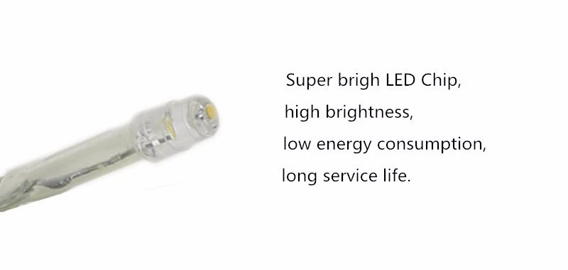 HTB1YlZzNpXXXXa5XXXXq6xXFXXXF