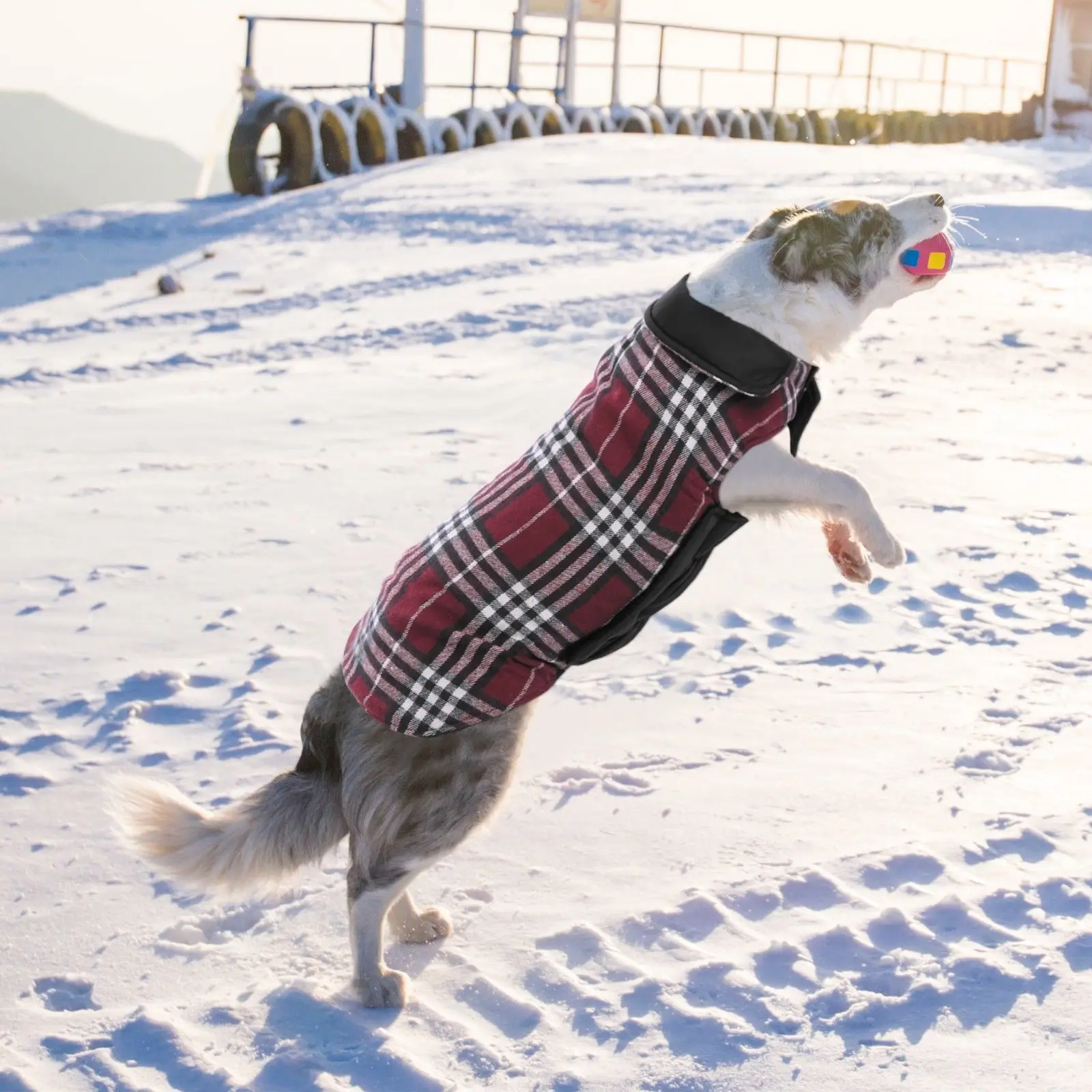 Куртка для собак, теплое зимнее пальто, жилет ветровки, мягкая водонепроницаемая одежда для домашних животных