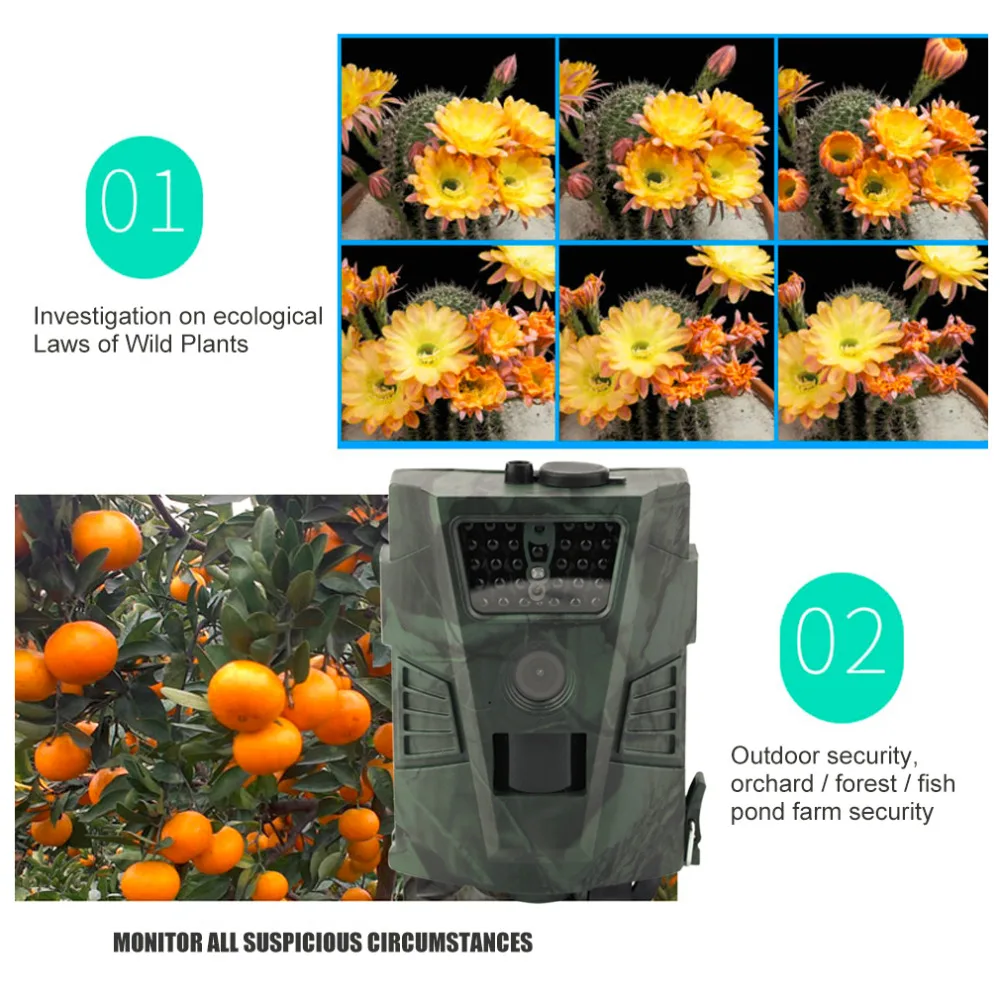 Hunting camera