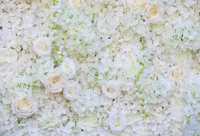 White Flower Wall Rose Floral Backdrop Photogrpahy Backdrops Photo White Flower Wall Rose Floral Backdrop Photogrpahy Backdrops Photo
