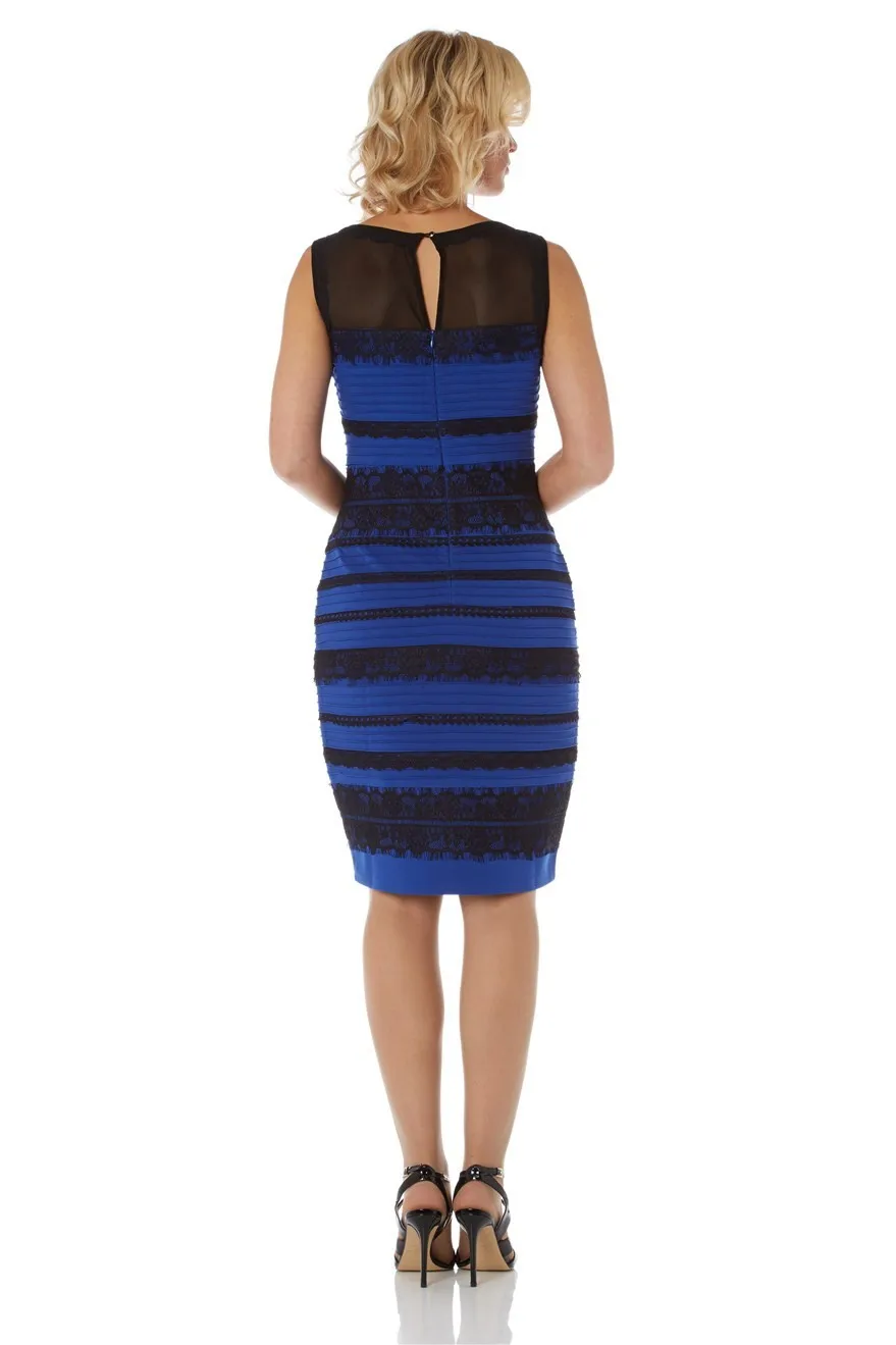 royal blue lace detail bodycon dress