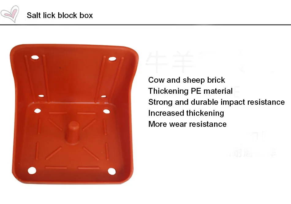 salt lick box01