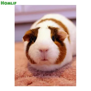 

Diamond Embroidery,Guinea Pig,5D,Diamond Painting pig,Cross Stitch,picture,Diamond Mosaic,home Decoration,christmas landscapes