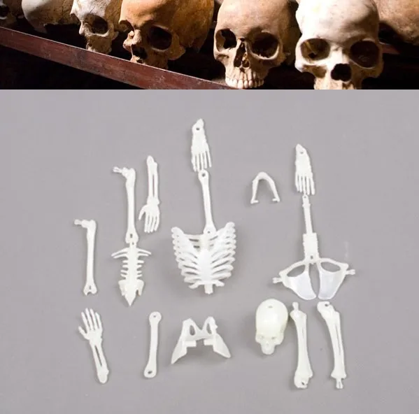 1 6 30cm Luminous Skeleton Human Skeleton Model Real Kam Skeleton Skull Spell Plug Assembly 15parts Assembly Model Skull Model Aliexpress 1 6 30cm Luminous Skeleton Human Skeleton Model Real Kam Skeleton Skull Spell Plug Assembly 15parts Assembly Model Skull Model Aliexpress