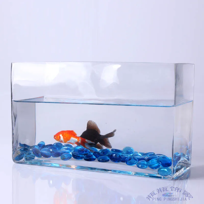 rectangular fish bowl