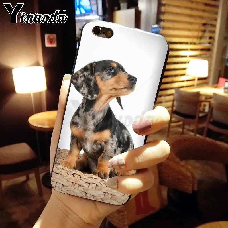 Dachshund Silhouette Dog
