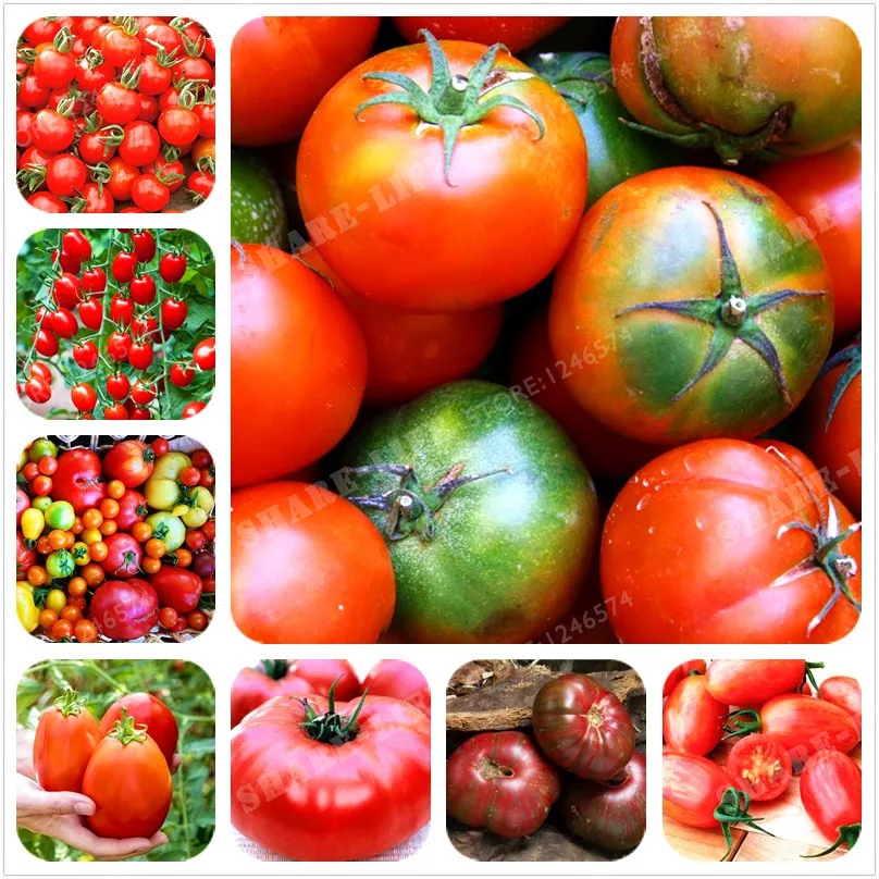 Фамильные огромные красный томат бонсай помидоры в форме клубники бонсай 100 бонсай/упаковка органических вкусные овощное растение для