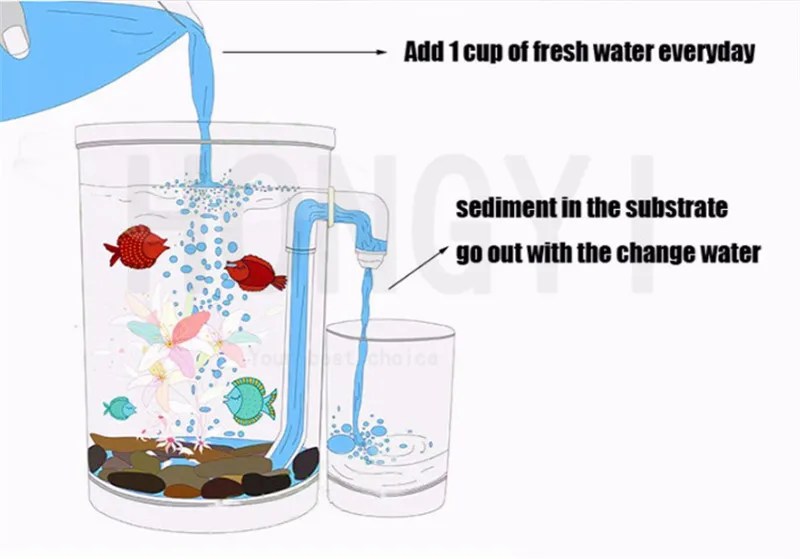 _2018-08-15T08-33-51.378Z