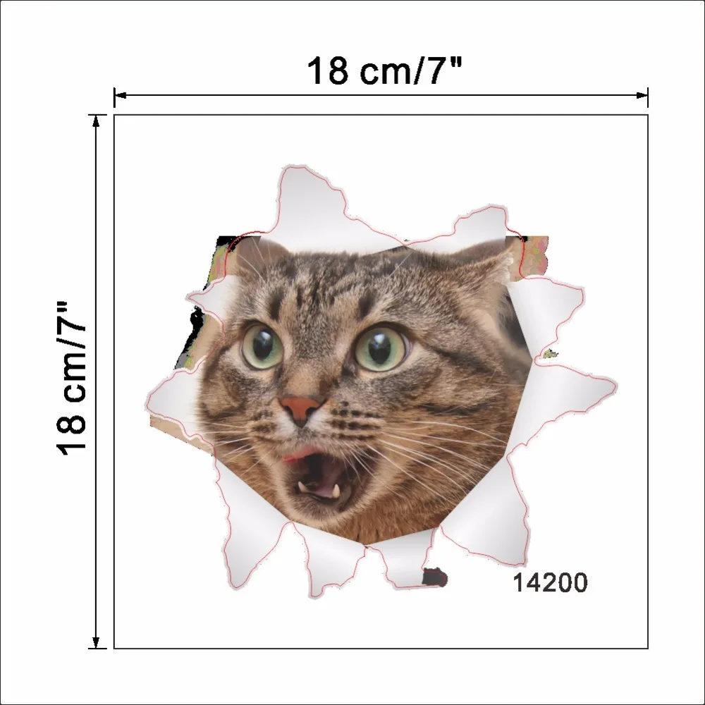 4582116089_378171329