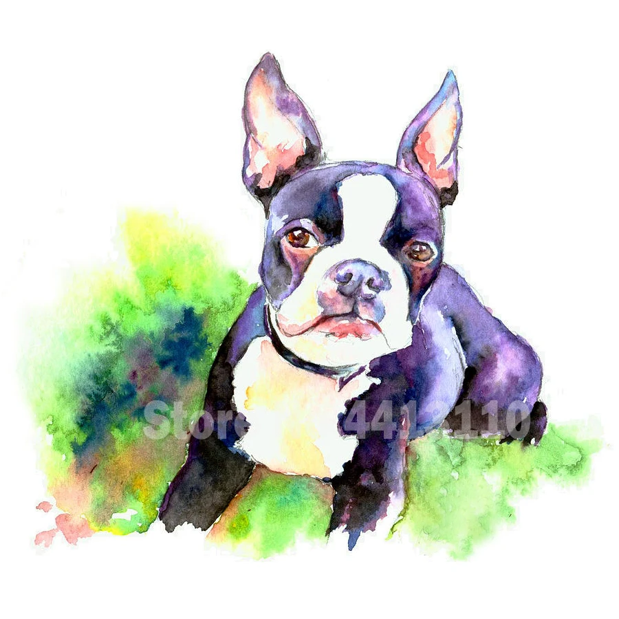 

DIY Diamond Mosaic Dogs Boston Terrier 5d Diamond Painting Full Square Drill Diamond Embroidery Animal Cross Stitch Kit Crafts