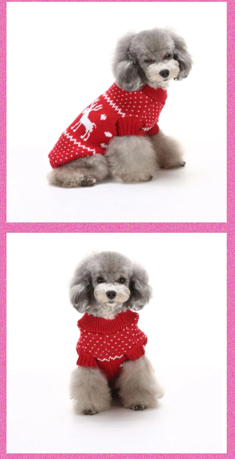 dog clothing23