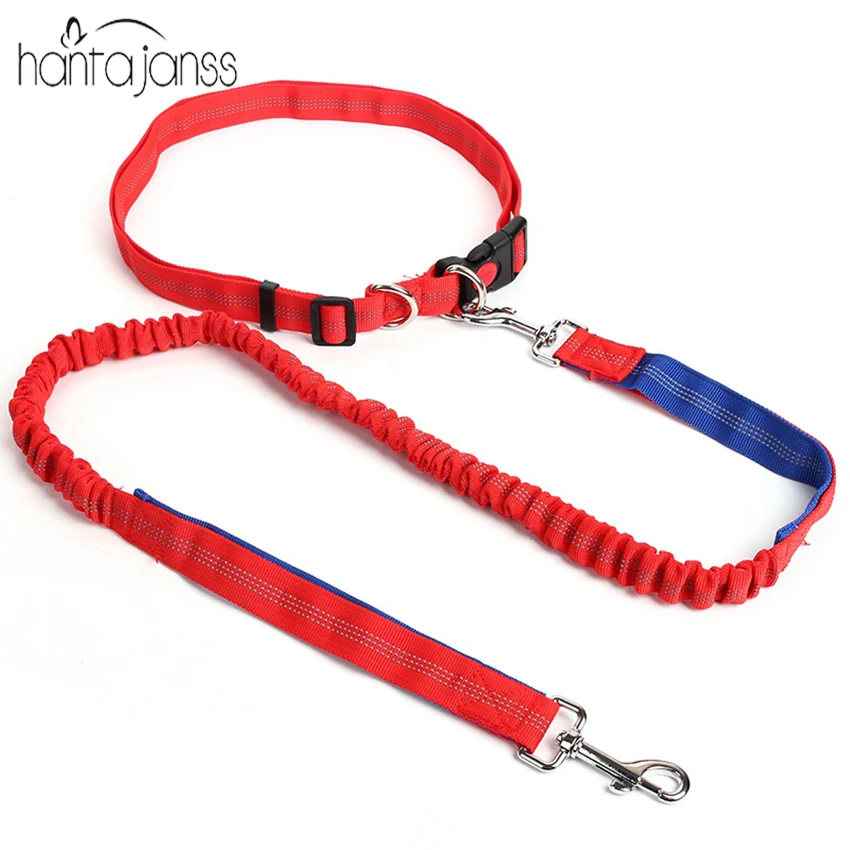 HANTAJANSS Pet Dog Traction Rope Slip Lead Training Elastic Dog Collar