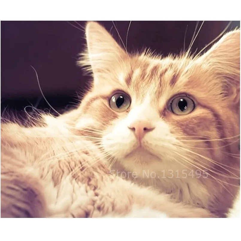 

5D diy diamond embroidery cat painting cross stitch Rubik Cube drill full diamond mosaic animals needlework art wall stickerN005