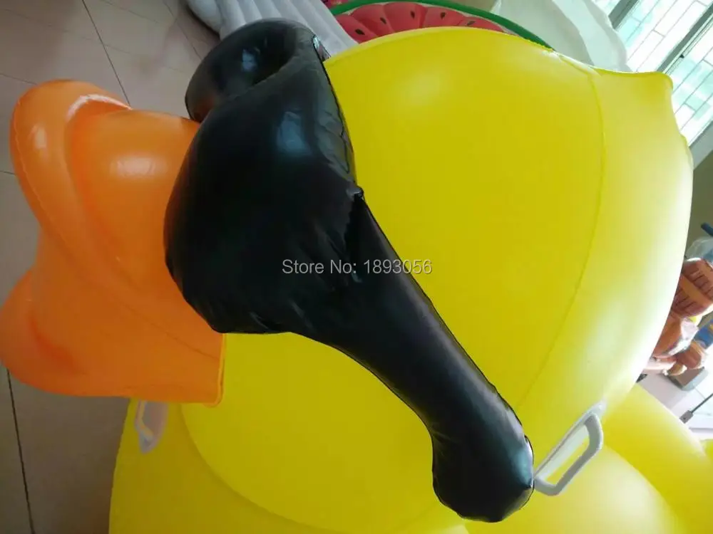 Riding Derby Duck 17