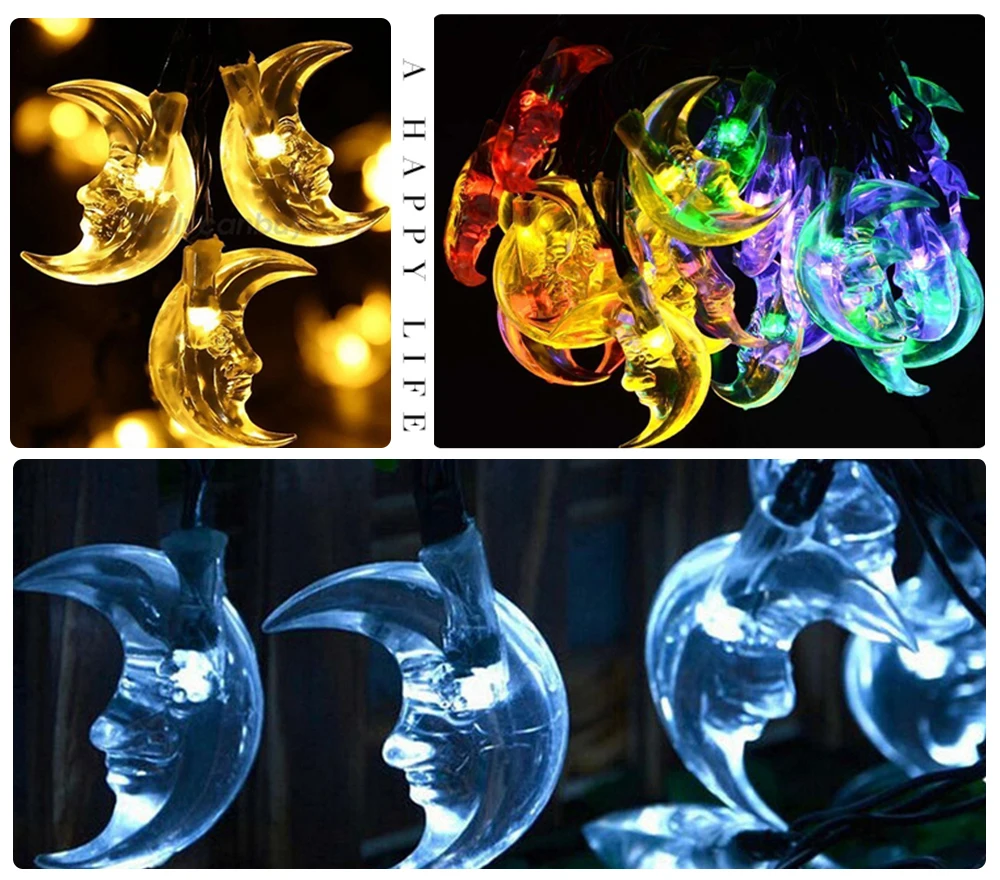 03 Picture Shown 002