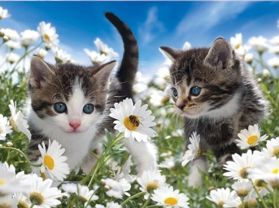 

Full circular Diamond Painting Cats in flowers Diamond Embroidery Cross Stitch Tree Diamond Landscape Rhinestones Resin Drill