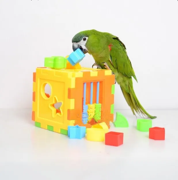 

Pet Birds Parrot Toy Bird Product Supplies Puzzle Toy For Budgie Parakeet Cockatiel Parrot Educational Accessories D415
