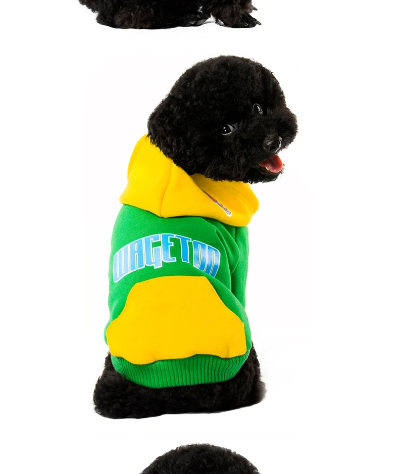 12 pug dog clothes 
