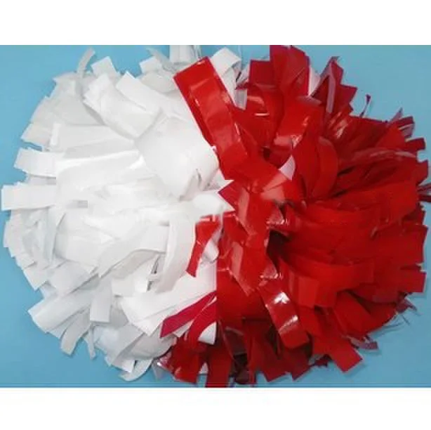 

6" Cheerleader pompons ( 10 pieces/lot) Mixed color Cheerleading pompoms supplise Color can free combination Free shipping